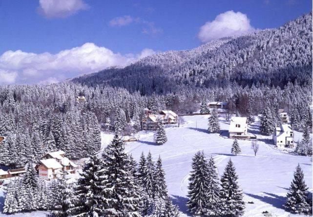 Poiana Brasov, Aparthotel 609,Alpin Екстериор снимка